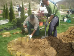 Postupak postavljanja oblica i mulcha