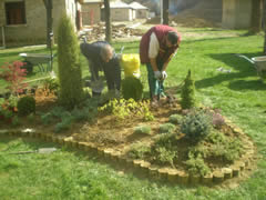 Postupak postavljanja oblica i mulcha
