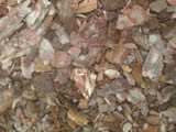 Pine bark mulch