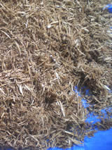 Pine wood mulch
