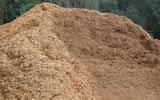 Wood mulch